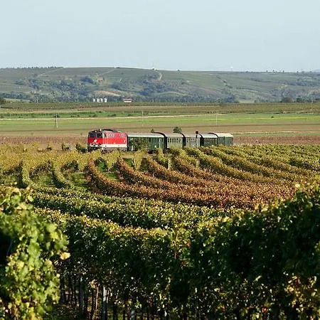 アパート Villa Hardegg Hardegg